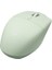 Frısby FM-290WM Kablosuz Mouse Green 1