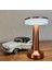 Cata Ct 8435 Oslo Dokunmatik USB Sarjlı Masa Lambası 2