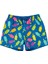 Erkek Çocuk Dondurma Desenli Deniz Şortu Mavi 2