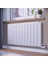 Sırıus 60 cm x 100 cm Dekoratif Alüminyum Elektrikli Radyatör 1
