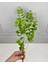 Yapay Okaliptus Dalı Yeşil 8