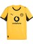 Borussia Dortmund Cup Jersey Erkek Sarı Futbol Forma 78011203 6