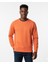 Bisiklet Yaka Pike Sweatshirt 3