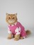 Pinky Love Polar Kedi Tulumu Pijama 1