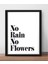 No Rain No Flowers Temalı Çerçeve Görünümlü Mdf Poster 1