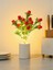 Bereket Getiren Nar Tasarımlı Dekoratif LED Işıklı Lamba 27 cm x 8 cm 3