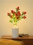 Bereket Getiren Nar Tasarımlı Dekoratif LED Işıklı Lamba 27 cm x 8 cm 4
