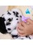 Baby Paws Dalmaçyalı Sesli Peluş 20 cm 4