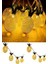 Dekoratif Pilli Pineapple Ananas Pilli Şerit LED Işık (1 Metre) (K95) 3