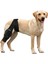 1 Adet Köpek Diz Yaralanması Koruma Kollu Ön ve Arka Bacak Rehabilitasyon Yalamak Kurtarma Bandajı 1