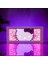 Hello Kitty - LED Işık Kutusu 1