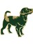 Terrier Rozet GN15 Sage 1
