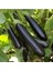100 Adet Tohum Eko Paket Diyarbakır Pin Kemer Patlıcan Tohumu 3