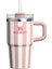 The Quencher H2.0 Flowstate Peach Whip Cabana Gloss Pipetli Termos 0,6 Litre 2