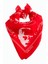 Atatürk Imzalı Desenli Bandana 50*50 1