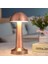 Mantar Model Bronz Renk Şarjlı Dokunmatik 3 Renkli LED Masa Lambası (5324) 4