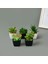 Mini Saksıda Yapay Çiçek - Asorti - 11X5 cm 2