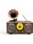 Nostaljik Gramafon Görünüm Radyo,şık Tasarım Ahşap Trend Nostalji Radyo 1