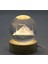 3D Kristal Cam Küre Ahşap Soketli Istanbul Temalı LED Lamba ALK2573 1