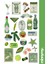 Green Collection Sticker, Çıkartma, Ajanda, Günlük, Planlayıcı, Bullet Journal ,scrapbook 1
