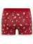 Yılbaşı Temalı Regular Fit Boxer F9937AX25WN 2