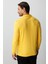 Sarı Standart Fit Polo Yaka Düz Uzun Kollu Triko 4
