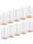 10 Taban Dekoru Geçirmez El Sanatları Cam Cloche Vitrini (Yurt Dışından) 4