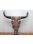 Ahşap Duvara Asmalı Bufalo Kafası 1