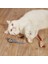 Peluş Fare Kedi Oyuncağı 3 Adet 1