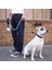 Reflektörlü Fosforlu Köpek Gezdirme Halatı Tasma Kayışı Metal Kancalı 130 cm (5324) 5