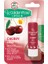 4 Adet Golden Rose Dudak Balmı Cherry SPF15 1