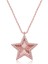 Gümüş Rose Fırfır Desenli Yıldız Kadın Kolye 1