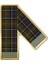 Tartan Scar Rozet TN11 Tartan Scarf 1