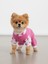 Pinky Hearts Polar Köpek Tulum Pijama 2