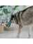 Bulmaca ve Ödül Oyuncağı- Köpekler Için Oyalayıcı ve Can Sıkıntısı Giderici 4