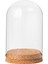 Ev Masaüstü Dekoratif 8CMX10CM Için Ahşap Taban Ekranlı Cloche Kavanoz (Yurt Dışından) 2