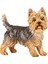 Köpek Heykeli Yorkshire Terrier Hayvan Heykeli Yatak Odası Kitaplık Rafı Ayakta (Yurt Dışından) 3