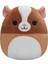 Bfs Squishmallow Ginepig Garret 20 cm 1
