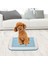 Köpek Lazımlık Tuvalet Eğitim Tepsisiı Örgü Eğitim Tepsisi Küçük Boyutlu Mavi (Yurt Dışından) 2