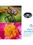 10 Arada 1 Cep Telefonu Lens Kiti 22X Telefoto Lens Balıkgözü Lens+Geniş Açılı Makro Lens+Tüm Akıllı Telefonlar Için Cpl Filtreleri (Yurt Dışından) 2