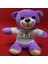 Mutlu Aşıklar Temalı Peluş Ayıcık 1