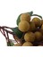 Çocuklar Için 1x Meyveler Paly ve Learnan- Longan (Yurt Dışından) 3