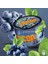 Blueberry 1
