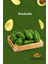 Avokado Dalından Yeni Toplanmış Günlük Taze 3 kg 1