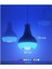 Bluetooth Music Bulb Akıllı Hoparlör LED Işıklı Uzaktan Kumandalı Müzikli Lamba 7 Renk Işıklı 8