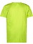 Düz Sarı Erkek Çocuk T-Shirt R501-6403-COLINS Jersey Shirt Short 4