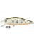 Minn Shad 58F-SR 4.6 G Maket Balık 573 1
