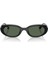 Rayban 0RB4441D 667771 53 Unisex Günes Gözlük 6