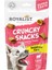 Crunchy Snacks – Doldurulmuş Köpek Ödül Bisküvileri 2'li Paket 2