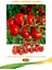 agro cherry domates tohumu 1